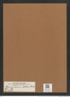 Stephanodiscus bellus A. Sch. (de-Toni-Nr.: Genus 189, Species 4706) Zeichnungen Sammlung Grunow Mappe 04600 (Herbarium_W_Grunow_drawings_Folder_04600)